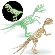 COFFRET ARCHEOLOGIE TRICERATOPS