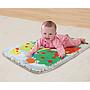 Vtech jardin enchante des petits copains